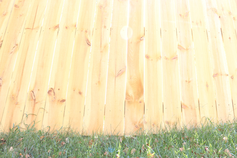 Illustration for article titled 11 Photos That Prove The Wrong Exposure Is Often The Right One